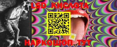 прущие грибы Кулебаки
