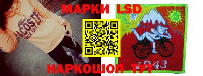 крисы Кунгур