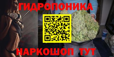 прущие грибы Кулебаки