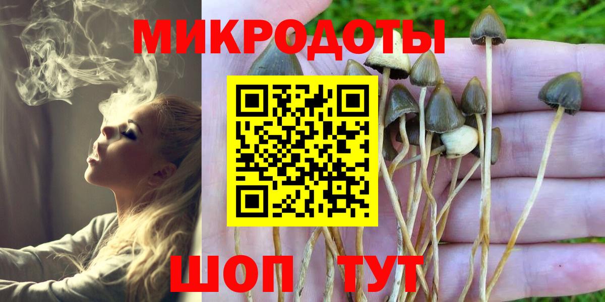 Электрогорск  Псилоцибиновые грибы прущие грибы  Вход с VPN 